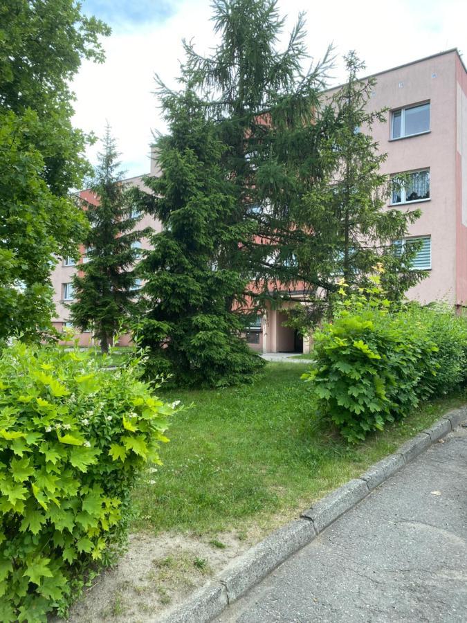 Zb Apartment Beige Piekary Śląskie المظهر الخارجي الصورة